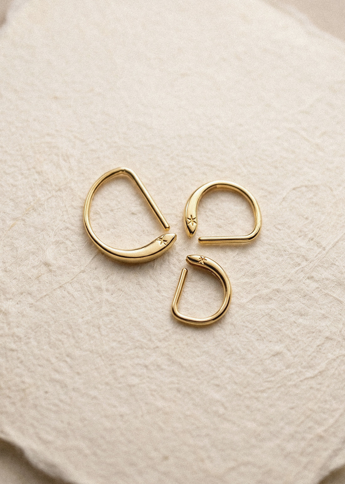 D Shape Sleeper Earrings